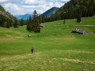 Hikers and huts on a green alpine pasture