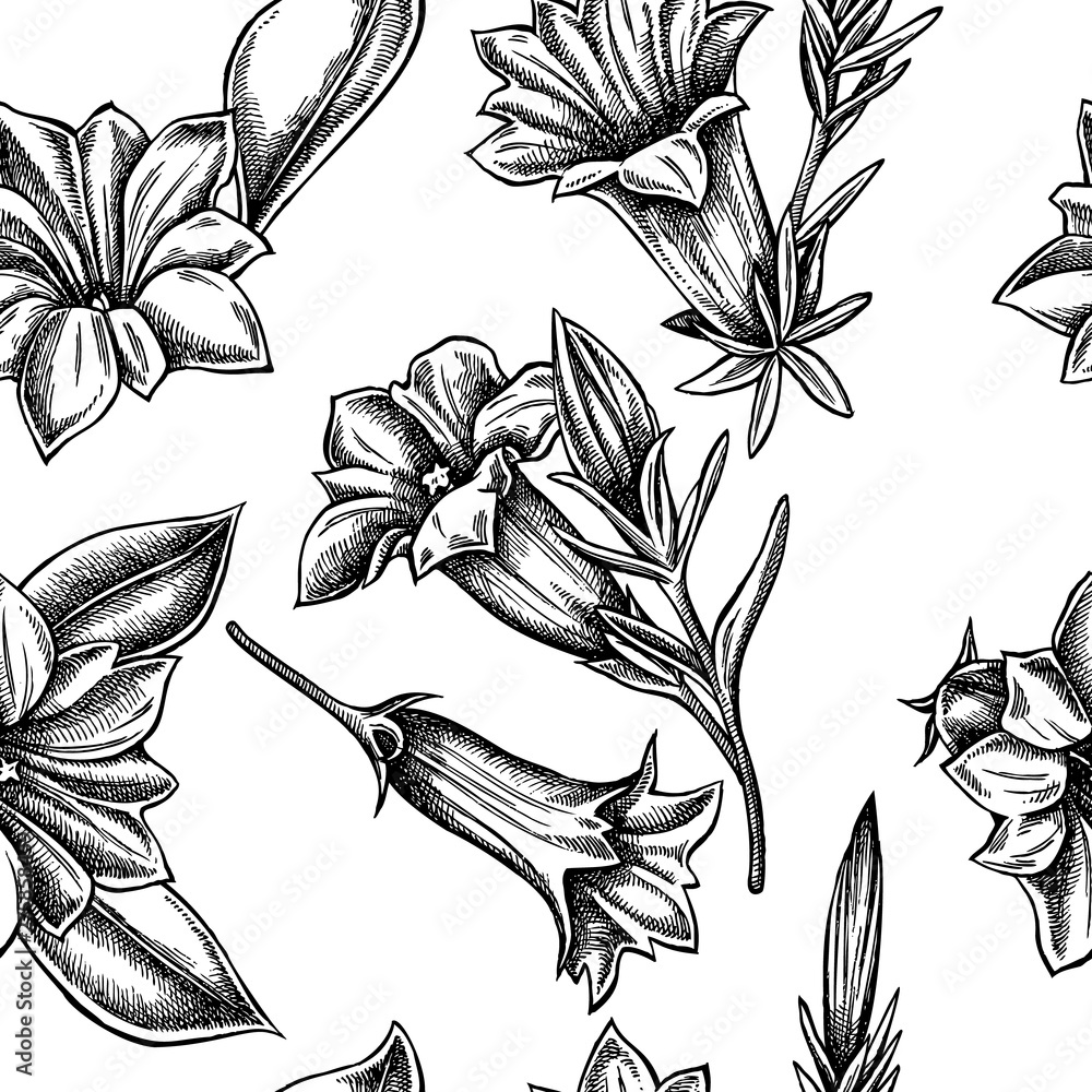 Wall mural Seamless pattern with black and white gentiana