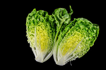 Cos Lettuce or Romaine Lettuce