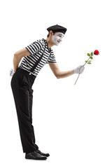 Pantomime man giving a red rose