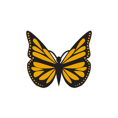 Fototapeta na wymiar Butterfly logo design vector template