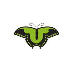 Butterfly logo design vector template