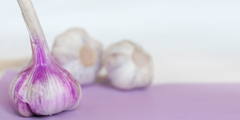 Obraz na płótnie Canvas Fresh garlic on purple white background. Space for text