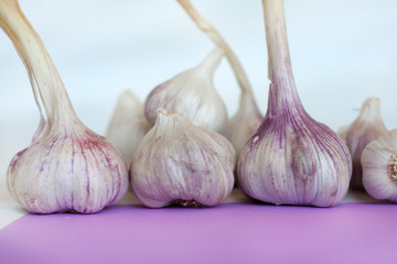 Fresh garlic on purple white background. Space for text