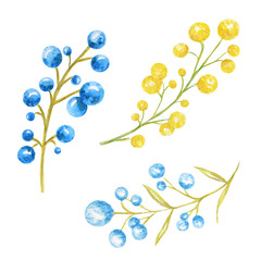 Autumn berries seasonal, nature berry, autumnal botanical isolated on a white background. Watercolor autumn element hand drawn illustration.