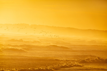adventure, aussie, australia, beautiful, birds, countryside, destination, down under, environment,...