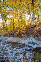 Fall Park in Virginia USA