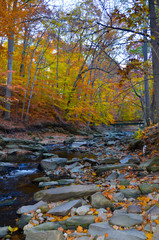 Fall Park in Virginia USA