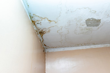 Water leak on white ceiling, insurance accident because of neglect disorderly careless neighbours