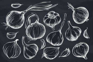 Vector set of hand drawn chalk onion, garlic