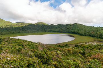 Grenada island - Grand Etang National Park - Grand Etang Lake - Tropical caribbean island.