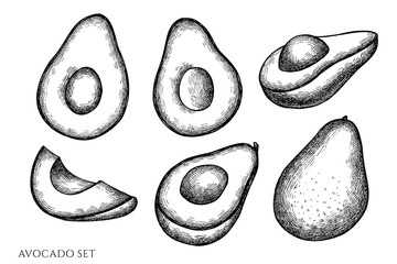 Vector set of hand drawn black and white avocado