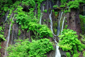 新緑の吐竜の滝