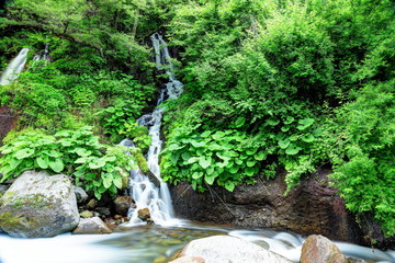 新緑の吐竜の滝