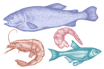 Vector set of hand drawn pastel fish, shrimp