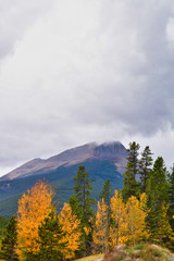 autumn in the canadian rocky mountains