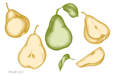 Vector set of hand drawn pastel pears