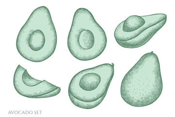 Vector set of hand drawn pastel avocado