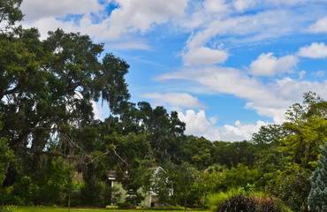 Florida Tropical Garden Landscape with Cloudy Sky