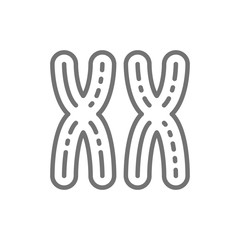 Female XX chromosomes, woman sex, genes line icon.