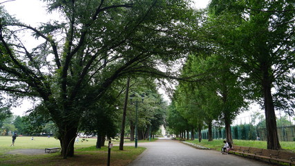 彩の森 入間公園