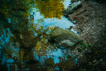 Reflections of trees and sky on the water surface of a forest river on a sunny summer morning.