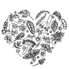 Heart floral design with black and white angelica, basil, juniper, hypericum, rosemary, turmeric