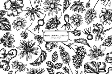 Floral design with black and white celandine, chamomile, dog rose, hop, jerusalem artichoke, peppermint