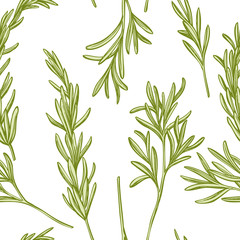 Seamless pattern with hand drawn pastel rosemary