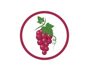 Grape fruits with leaf icon vector illustrtion