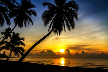 Sunrise silhouette group coconut on beach