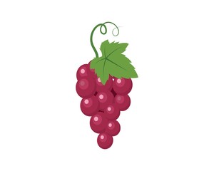Grape fruits with leaf icon vector illustrtion
