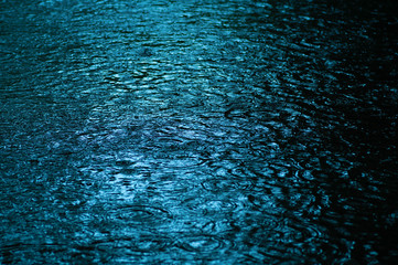 雨の日の水紋