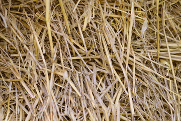 Background texture of a stack of straw. Cropped shot, horizontal, close-up, nobody, free space. The concept of agriculture.