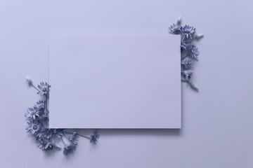 Postcard. Soft purple background with lilac wildflowers. Close-up, free space in the center, horizontal, toning. Holiday concept