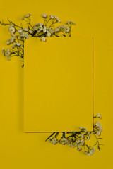 Postcard. Yellow background with white wildflowers. Close-up, free space in the center, vertical. Holiday concept