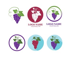 Grape fruits with leaf icon vector illustrtion