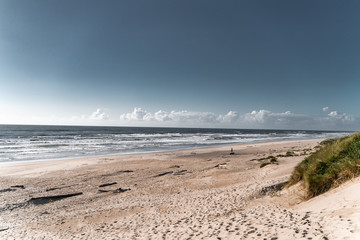 beach and ocean