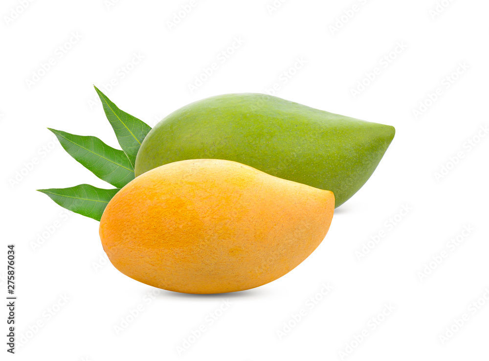 Wall mural ripe mango on white background