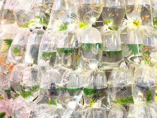 People's Republic of China, Hong Kong Special Administrative Region   Mong Kok-Goldfish Street