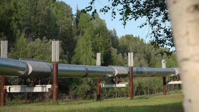 Alaskas Trans-Alaskan Oil Pipeline