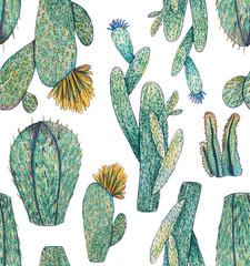  Hand drawn decorative seamless pattern with cacti and succulents on white background. Illustration for posters, cards, t-shirts.     