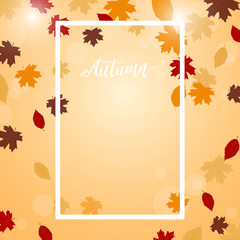 Obraz premium Autumn leaves sale festival vector design background. Fall color nature background.