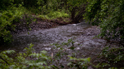 Forest mountain river in the Far East.