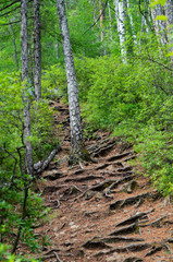 mountain