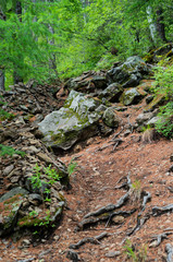 mountain