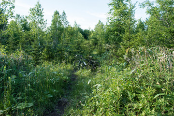 グラベルロード