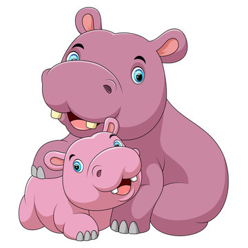 Cute hippo mother with baby hippo