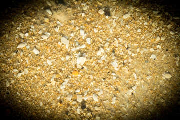 crab on the sand beach, sand, pebbles on the sand beach, the picture has a white border.
