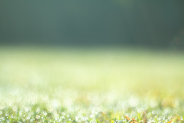 Summer Natural green gradient light and blurred effect image design for presentation background or website cover background, Out door summer in morning sun light on grass